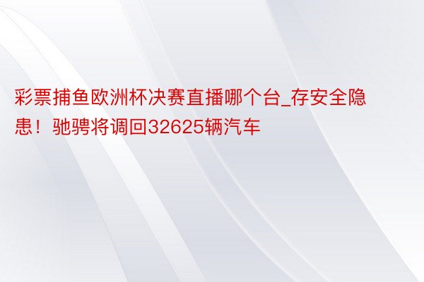 彩票捕鱼欧洲杯决赛直播哪个台_存安全隐患！驰骋将调回32625辆汽车