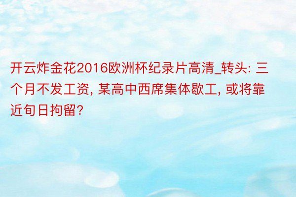 开云炸金花2016欧洲杯纪录片高清_转头: 三个月不发工资, 某高中西席集体歇工, 或将靠近旬日拘留?