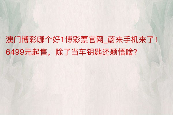 澳门博彩哪个好1博彩票官网_蔚来手机来了！6499元起售，除了当车钥匙还颖悟啥？